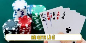 bài catte là gì