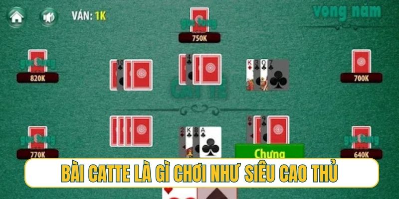 Bài Catte là gì - bí kíp giúp bạn chơi như siêu cao thủ
