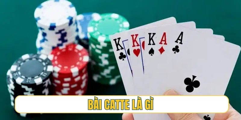 bài catte là gì