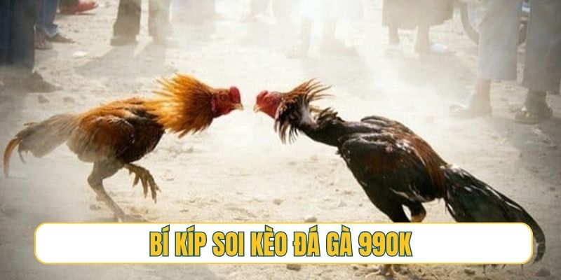 Bí kíp soi kèo bất bại từ sư kê ẩn mình của đá gà 99OK