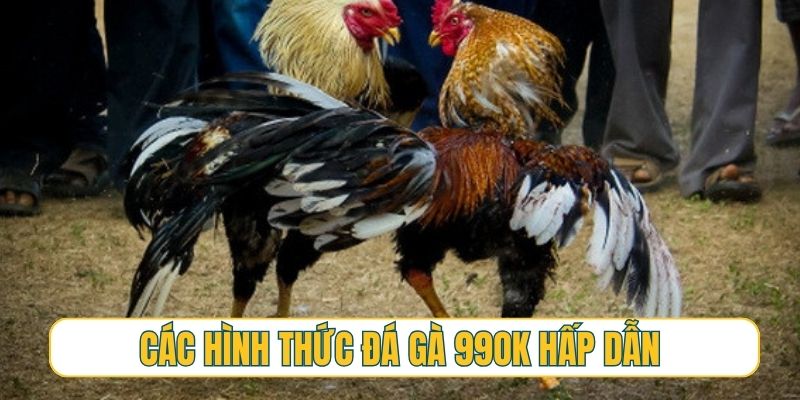 Các hình thức đá gà 99OK hấp dẫn nhất nhất thị trường