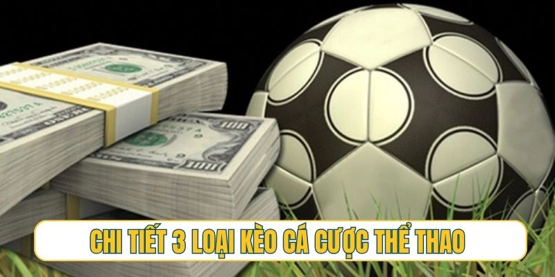 Chi tiết 3 loại kèo cá cược thể thao phổ biến nhất hiện nay