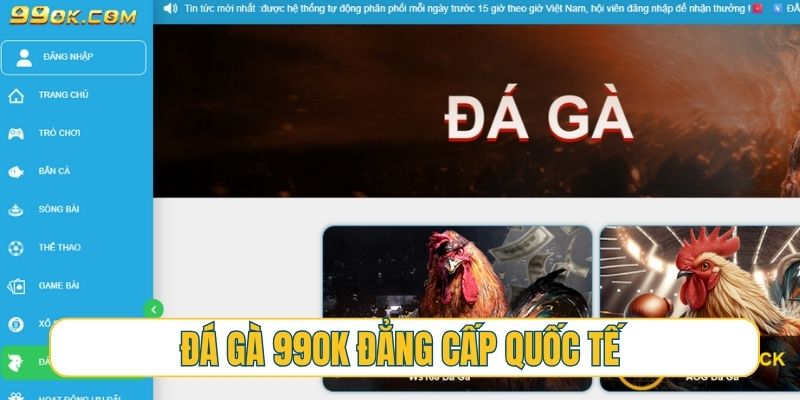Đá gà 99OK - đỉnh cao trường gà thomo đẳng cấp quốc tế