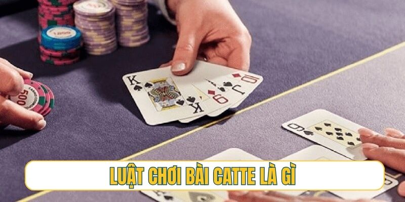 Luật chơi bài Catte là gì, có khó lắm hay không?