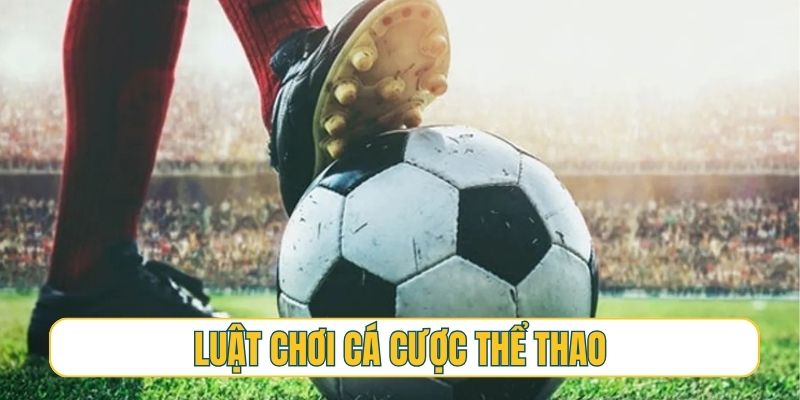 Tầm quan trọng của việc hiểu rõ luật chơi cá cược thể thao