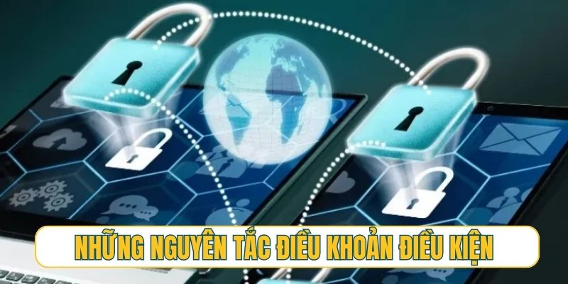 Những nguyên tắc bất di bất dịch trong điều khoản điều kiện
